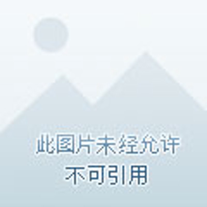 河北无极县商贸